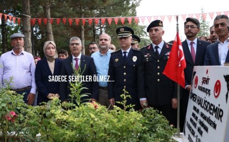 Şehit Ömer Halisdemir, Kabri Başında Anıldı