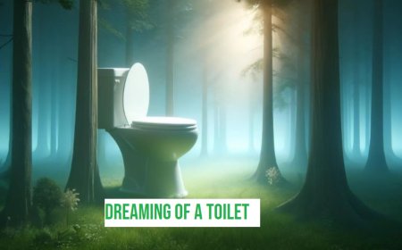 Dreaming of a Toilet: Islamic Dream Interpretations