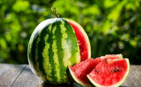 Interpretation of Seeing a Watermelon in a Dream: Islamic Dream Interpretation