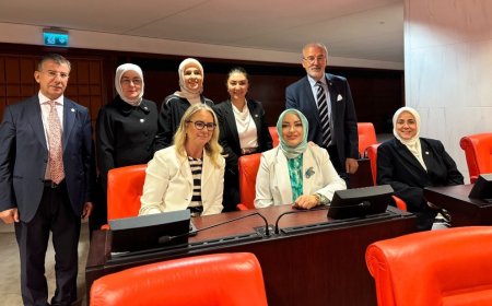 Ceyda Bölünmez Çankırı: TBMM Genel Kurulu'nda Gece Mesaisi