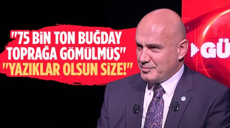 TMO'nun Buğday Skandalı: Türk Çiftçisinin Ürünleri Çürüyor, İthalat Devam Ediyor