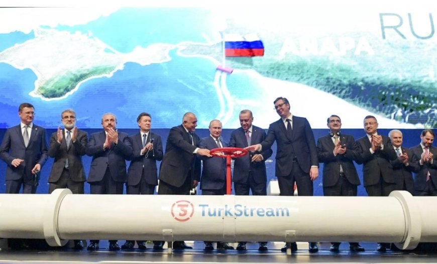 Elektrik Mühendisleri Odası: Rosatom’un 2. nükleer santrali, Türkiye'yi Rusya'ya bağımlı kılar