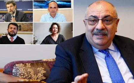 Türkeş: "Ziyaretler, Hukukun Üstünlüğü İçin Atılmış Önemli Bir Adım"
