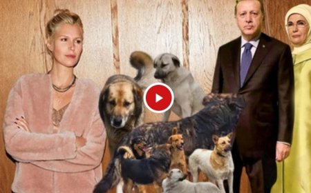 Derin Mermerci’den Erdoğanlara: "Yanlış Bilgilendiriliyorsunuz"