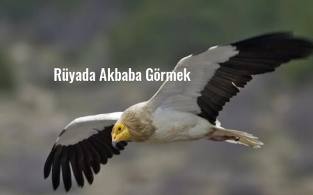 Rüyada Akbaba Görmek