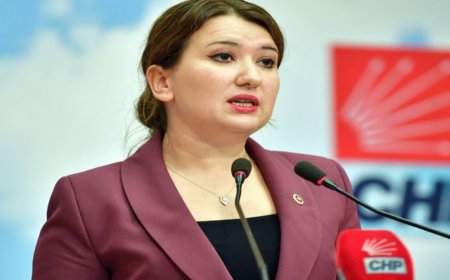 CHP'li Gökçen'e 'Fişlenme' Tepkisi: Baskıyı Görmesine Rağmen!