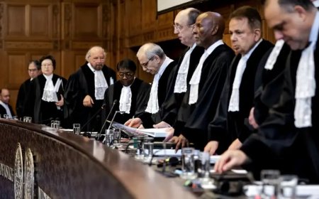 Türkiye'nin Soykırım Davasına Katılması Ne Anlama Geliyor?