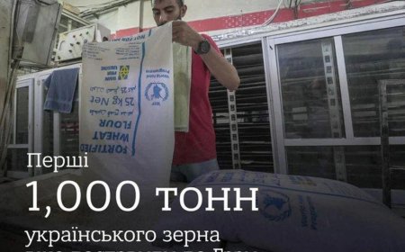 Ukrayna'nın Gazze'ye Yardımı: Stratejik Bir Değişim mi?