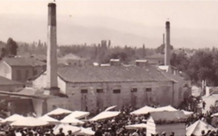 Evliyazade Zeytinyağının Yüzyıllık Mirası: Bir Aile Geleneği