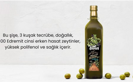 Tuna Zeytincilik: Üç Kuşaklık Zeytinyağı Geleneği ve Başarı Hikayesi