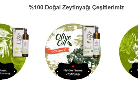 Kendi Zeytin Ağacınıza Sahip Olun: Naif Ege Zeytincilik ile Unutulmaz Bir Deneyim