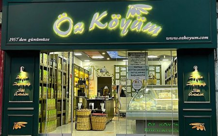 Kökten Zeytincilik: Gelenekten Modernliğe Uzanan Bir Zeytinyağı Hikayesi