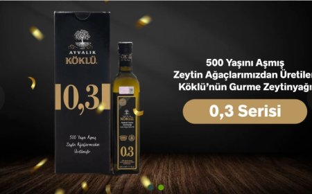 Ayvalık’tan Gelen Doğal Lezzet: Köklü Zeytincilik