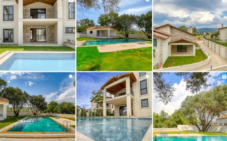 Albero: Realize Your Dream of a Detached House in the Heart of Nature