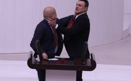 İzmir Yangınla Mücadele Ediyor, Milletvekilleri TBMM’de Kavgaya Tutuştu