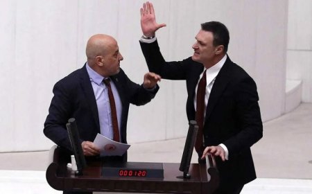 Alpay Özalan, AK Parti'ye Şebnem Bursalı Kadar Zarar Verdi!