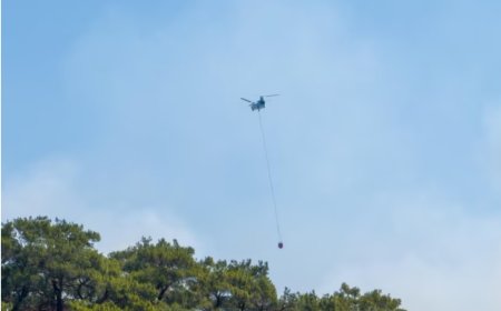 İzmir Yangınında Havadan Müdahale Tartışmaları: İletişim Başkanlığı İddiaları Yalanladı
