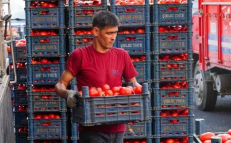 Türkiye'de Çiftçi Eylemleri Yayılıyor: Tarımda Yeni Bir Örgütlenme Dönemi mi Başlıyor?