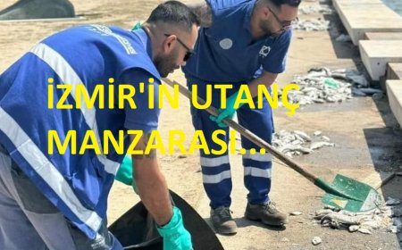İzmir Körfezi Alarm Veriyor: Balık Ölümleri ve Kirlilik Şehri Tehdit Ediyor