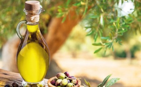 Gerçek Erken Hasat Zeytinyağı: Lezzetin ve Doğallığın Erken Keşfi