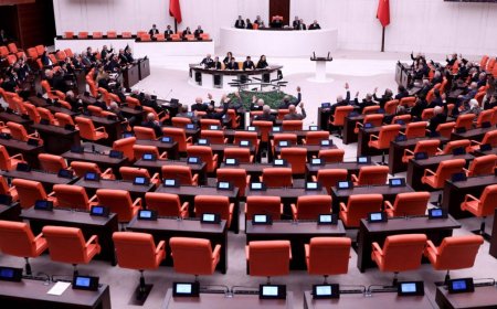 Siyasette Fark Yaratın: DenizWeb.net ve Reklamhaber.com ile Google'da Görünür Olun!