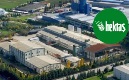 Hektaş, 2024 İlk Yarıda 982 Milyon TL Zarar Açıkladı
