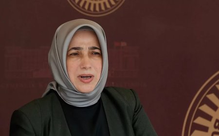 AK Partili Zengin'den Tahliye Olan Dilruba Kayserilioğlu'na Uyarı: Ceza Alabilir