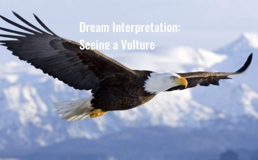 Dream Interpretation: Seeing a Vulture