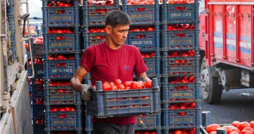 Türkiye'de Çiftçi Eylemleri Yayılıyor: Tarımda Yeni Bir Örgütlenme Dönemi mi Başlıyor?