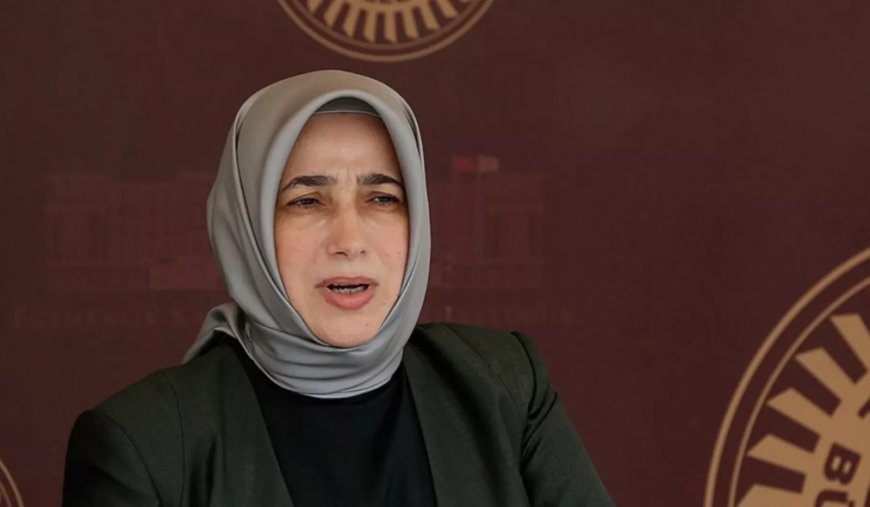 AK Partili Zengin'den Tahliye Olan Dilruba Kayserilioğlu'na Uyarı: Ceza Alabilir