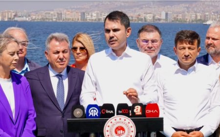 İzmir Körfezi'nde Balık Ölümleri Tartışması Büyüyor: Hükümet ve Belediye Karşı Karşıya