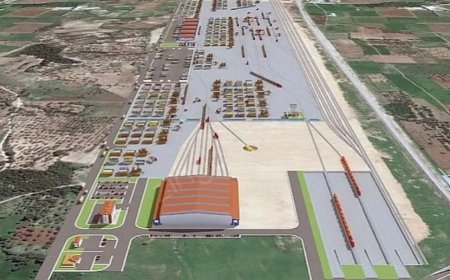 Kemalpaşa Lojistik Köy Projesinde Zeytinlik Skandalı!