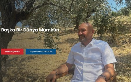Tunç Soyer’in Resmi Web Sitesi Üzerine Teknik Analiz