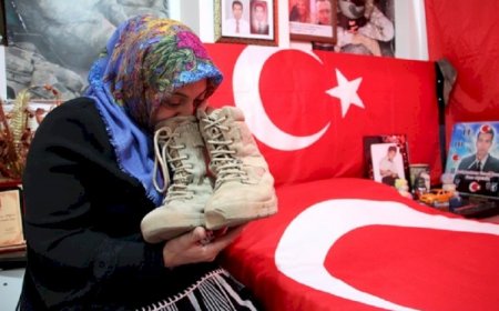Analar Affetmişse Artık Kimseye Söz Düşmez: Barışın Sesi, ŞehitlerÖlmez.com’un Hikayesi