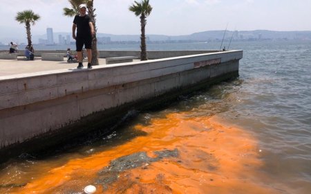 İzmir Körfezi Tehlikede: Devletin Müdahalesi Şart