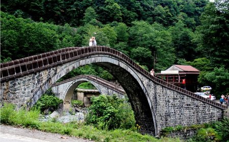 Artvin'in Sevilen ve Güvenilen Liderlerini Seçmek İçin Anket Başladı!