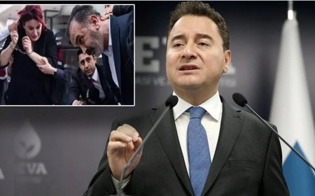 Babacan’dan Yenidoğan Çetesi Tepkisi: Bu Çürümüşlüğü Temizlemek Boynumuzun Borcu