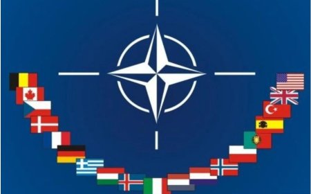 NATO: Astroloji, Numeroloji ve Ebced ile Detaylı Analiz
