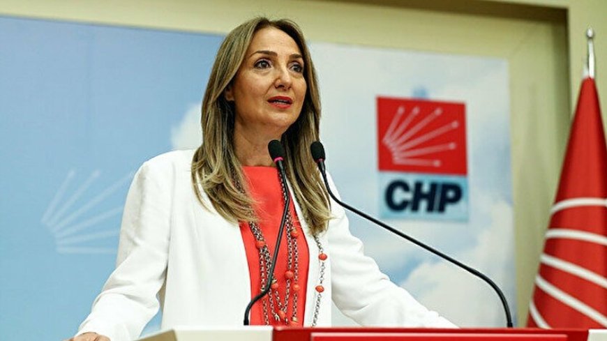 Aylin Nazlıaka: İş Dünyasından Siyasete Bir Liderin Yolculuğu