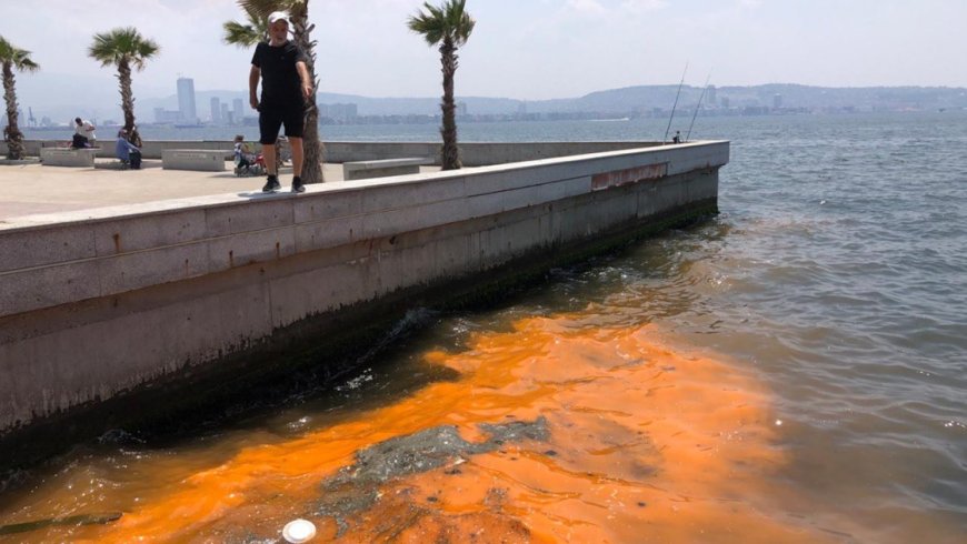 İzmir Körfezi Tehlikede: Devletin Müdahalesi Şart