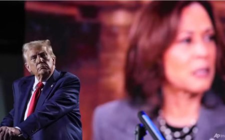 Harris ve Trump Arasında Çekişmeli Yarış: Seçime Günler Kala Hangi Aday Önde?