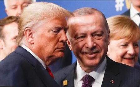 Trump ve Erdoğan Görüştü: Dünya Liderlerinden İkinci Dönem İçin Kutlama Mesajları