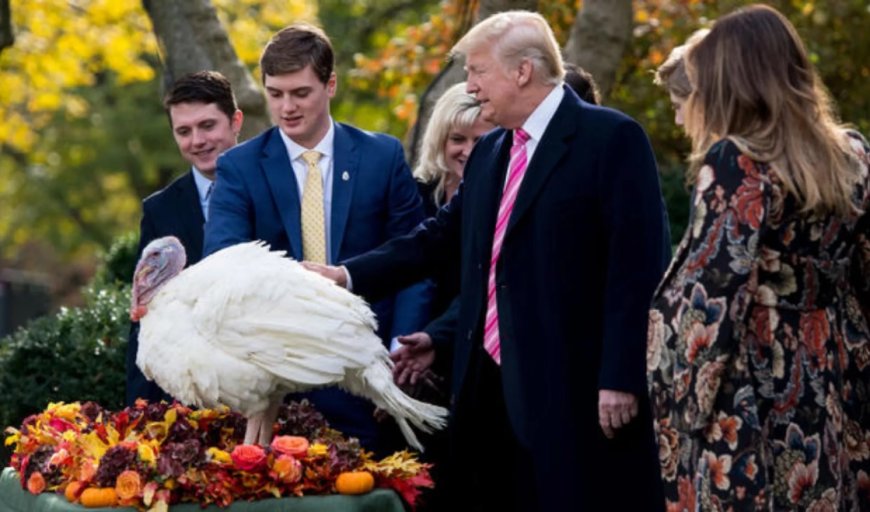 Trump’s Thanksgiving Message: A Nation on the Path to Greatness