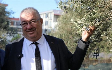 Edremit Belediye Başkanı Mehmet Ertaş’ın Zeytin Hasadı Açıklamaları Tartışma Yarattı