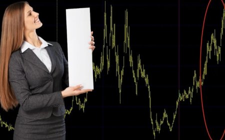 İhlas Hisse Ceza Süreci ve Detayları