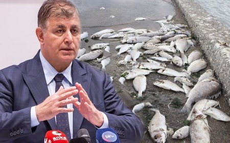 CHP'li Başkanların İzmir Sevgisi, Ak Parti'nin İzmir Düşmanlığı!