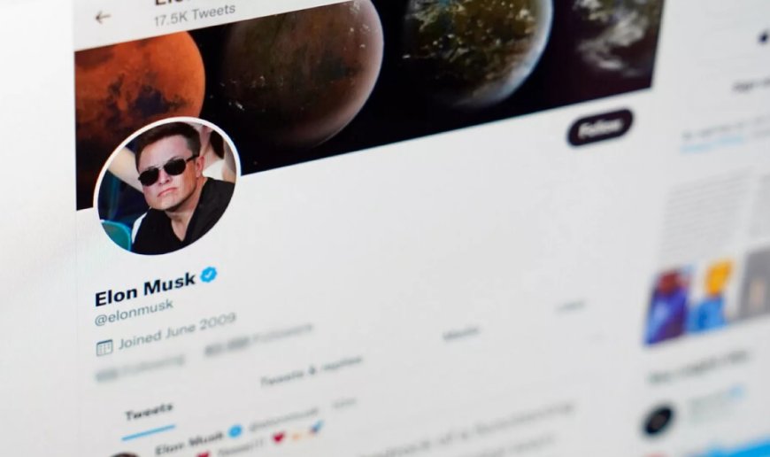 Elon Musk’ın AfD’ye Desteği Almanya’da Tartışma Yarattı