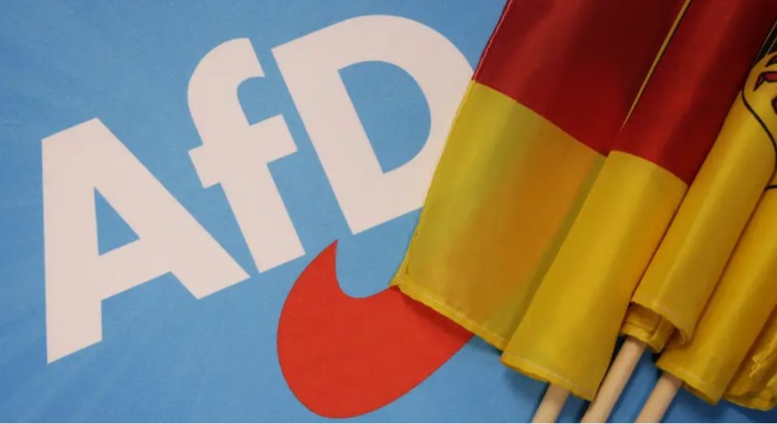 AfD'nin Dexit Vaadi: Almanya ve AB İçin Ne Anlama Geliyor?