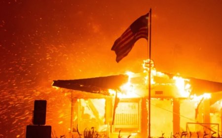 Los Angeles Yangınlarında Tahliye Alanı Genişletildi ve Sokağa Çıkma Yasağı İlan Edildi