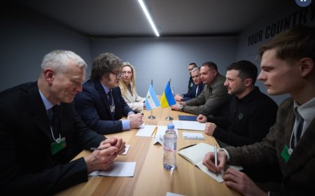 Volodymyr Zelenskyy Meets with Argentine President Javier Milei in Davos